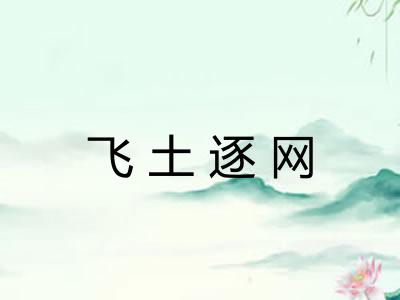 飞土逐网