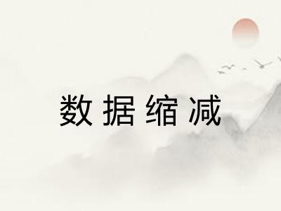 数据缩减 数据缩减