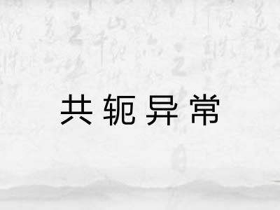 共轭异常