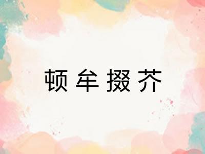 顿牟掇芥 顿牟掇芥