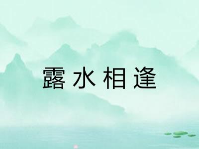 露水相逢 露水相逢