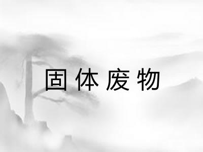 固体废物 固体废物