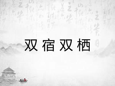 双宿双栖 双宿双栖