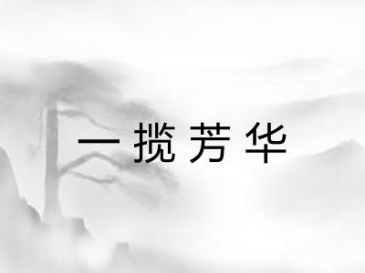 一揽芳华