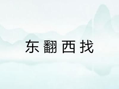 东翻西找 东翻西找