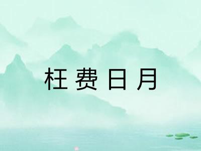 枉费日月