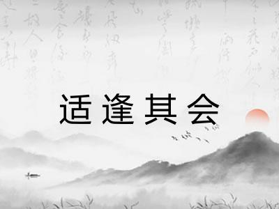 适逢其会 适逢其会