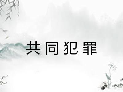 共同犯罪 共同犯罪