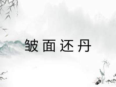 皱面还丹 皱面还丹