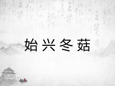 始兴冬菇 始兴冬菇