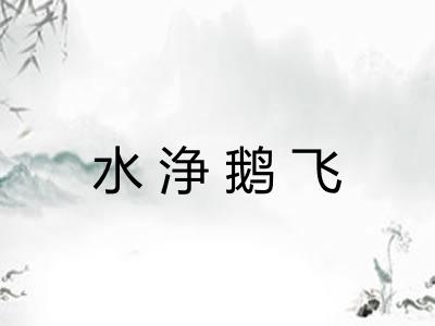 水浄鹅飞
