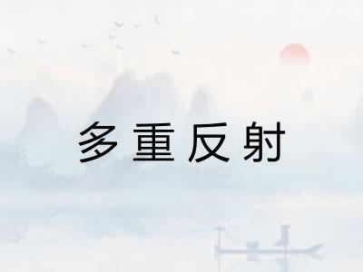 多重反射 多重反射