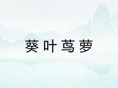 葵叶茑萝 葵叶茑萝