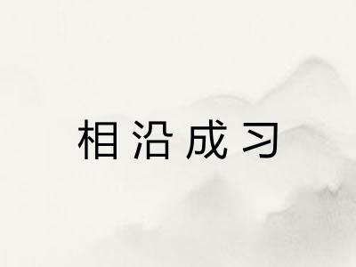 相沿成习