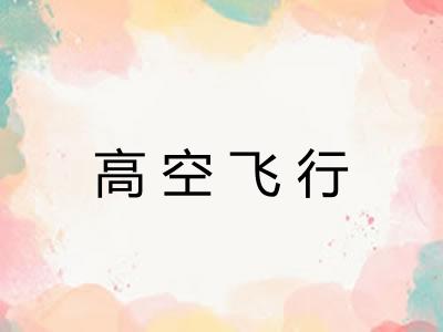 高空飞行 高空飞行