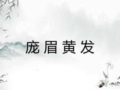庞眉黄发