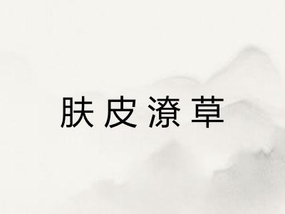 肤皮潦草