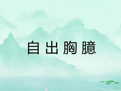 自出胸臆 自出胸臆