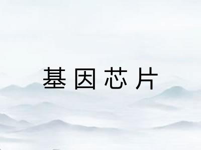 基因芯片 基因芯片