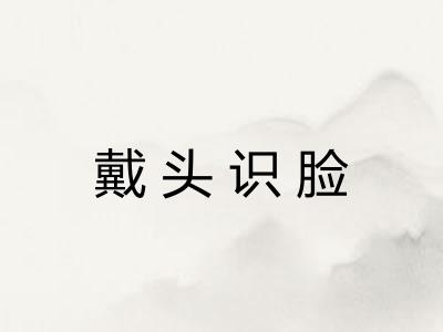戴头识脸