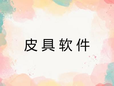 皮具软件