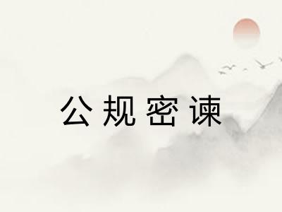 公规密谏 公规密谏