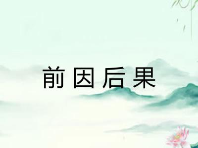 前因后果 前因后果