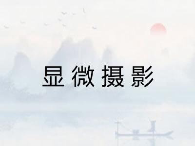 显微摄影