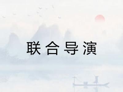 联合导演 联合导演