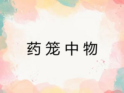 药笼中物 药笼中物