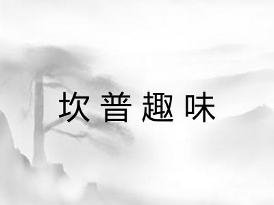 坎普趣味