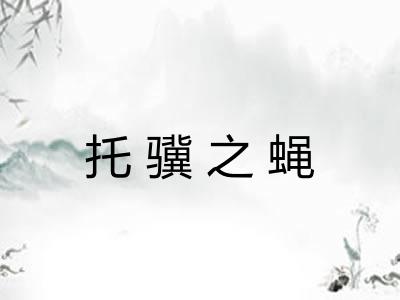 托骥之蝇 托骥之蝇