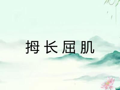 拇长屈肌
