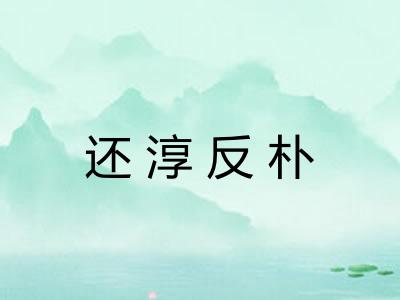 还淳反朴 还淳反朴