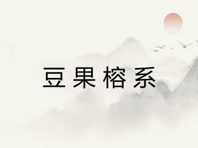 豆果榕系 豆果榕系