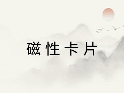 磁性卡片 磁性卡片