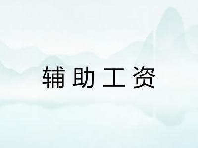 辅助工资 辅助工资