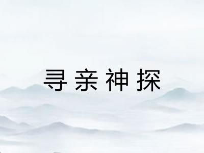 寻亲神探