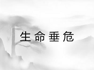 生命垂危 生命垂危