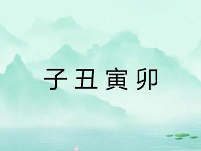 子丑寅卯 子丑寅卯