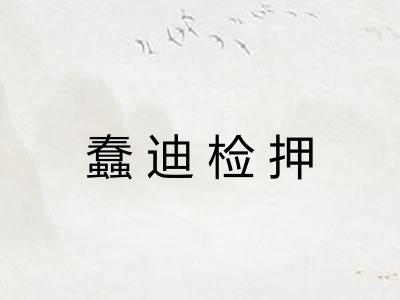 蠢迪检押 蠢迪检押