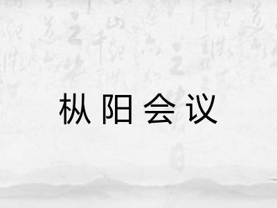 枞阳会议 枞阳会议