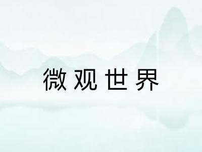 微观世界