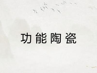 功能陶瓷 功能陶瓷