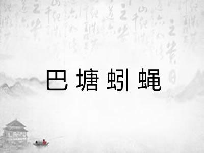 巴塘蚓蝇
