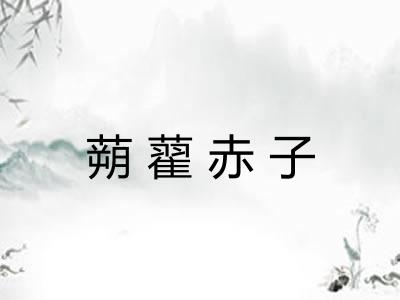 蒴藋赤子 蒴藋赤子