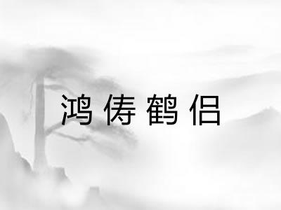 鸿俦鹤侣