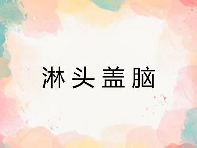 淋头盖脑 淋头盖脑