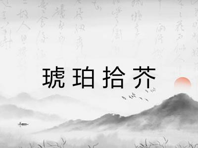 琥珀拾芥 琥珀拾芥