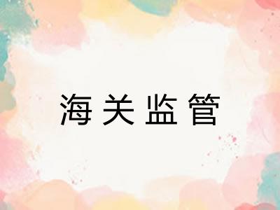 海关监管 海关监管